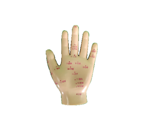 手针灸模型13cm