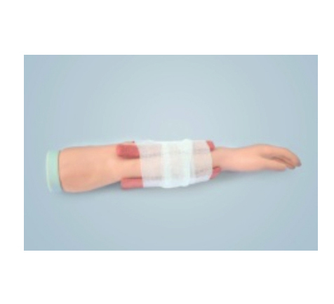 前臂骨折处理训练模型