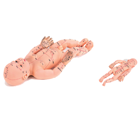 小儿按摩推拿模型 DK-XR01