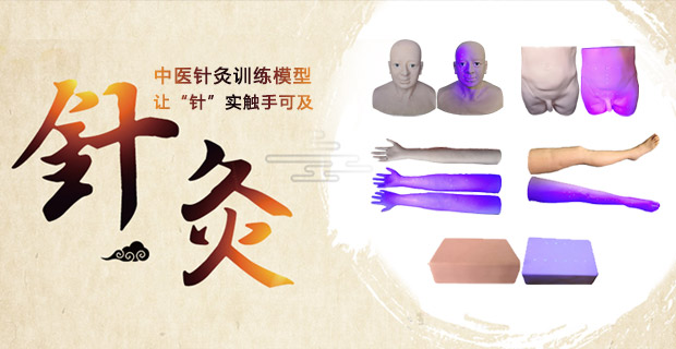 中医针灸训练模型
