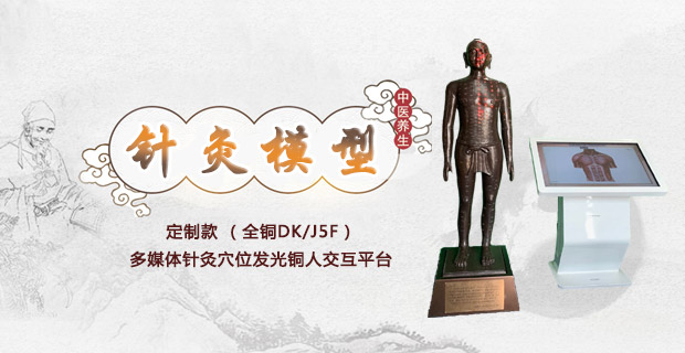 全铜DK/J5F针灸模型